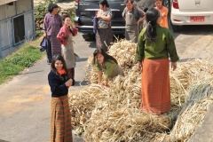 Young female workers lifiting the wood pulp