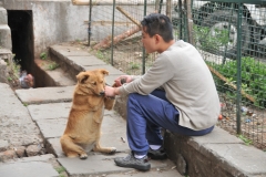 Young boy befriending a 3 legged dog. Touching scene