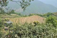 View of the countryside
