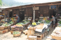 All locally grown