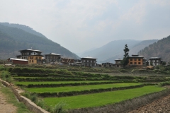 Famous Red Rice fields that have medicinal values