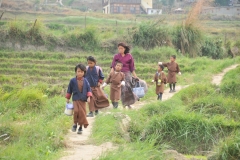 This photo is one of my favorites on the trip. A mother with her young children walking through the rice fiends on the way home from school.
