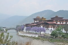 Punakha Dzong is built at the junction of the Pho Chhu and Mo Chhu rivers in 1637 to serve as the administrative center of the region until 1955 when the Capital was moved to Thimphu.. Damaged by catastrophic fires and earthquakes the buildings have been fully restored.