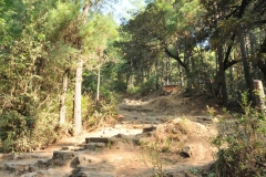 Beginning of the trail at the bottom of the mountain