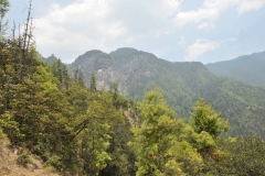 View looking back up at Tigers Nest after the climb