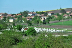 Local cemetery among scattered homes and fields.