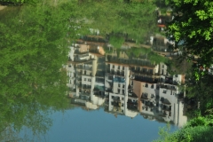 Reflections in the river