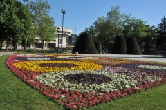 Walking around town  of Ruse you have the  small town feeling that has a beautiful main square and pedestrian area.  Outdoor restaurants, families walking together enjoying the day., the gardens, the fountain, the flowers.  Yet it is a large city.