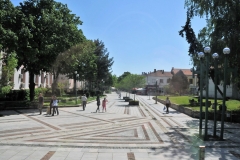 The population of Vadin hit a peak around 1991 at 48,000.  Today 2018 the popoulation  would be around 42,000.  The population has slowly been decreasing.