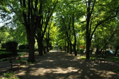 Walking through the local park.
