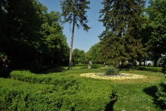 my locally.  They do the best they can on very little.