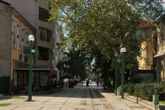 Vidin is currently the poorest city in the EU, but it is a beautiful town with many historic and cultural landmarks. Tourism has experienced a decline except for groups that come along the Danube on cruises, but a visit to Vidin is definitely worth a visit. The people tend to be more hospitable here than in larger cities like Sofia.  This is a main sidewalk/street in Vidin. There were  few people anywhere that you could see.