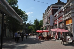 Unfortunately, because of its economic issues, Vidin has many problems. Lack of funds has caused the sidewalks and streets to fall into disrepair, and many buildings are vacant and crumbling. There is no university in the northwest region, so young people mostly move to other cities or countries.
