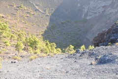 Looking into the dormant volcano.