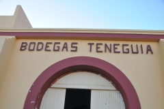 We stopped at the Bodegas Teneguia for a tasting of locally grown and aged wine.  Very refreshing after a day of driving across La Palma island. We returned to our ship and set sail for Tenerife our next stop.