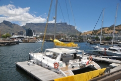 There is something for everyone at the harbor with great restaurants, retail shopping, history, hotels, beautiful boats, excursions from harbor and much more.