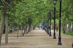 Another part of Forestal Park