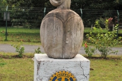 First thing you see arriving is the Rotary Emblem at the airport.  Easter Island (Rapa Nui:  Spanish: Isla de Pascua) is a Chilean island in the south eastern Pacific Ocean, at the south eastern most point of the Polynesian Triangle in Oceania. Easter Island is famous for its 887 extant monumental statues, called moai, created by the early Rapa Nui people. In 1995, UNESCO named Easter Island a World Heritage Site, with much of the island protected within Rapa Nui National Park.