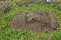 Fallen Moai heads