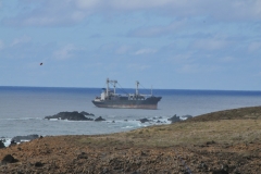 A beached freighter