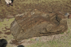 The Ahu Akahanga stands on the left in front of the sea, a few meters from the agitated waves that beat against the rocks. This large platform of 18 meters in length has not been restored, which allows to get an idea of the state in which all the ahu were in the epoch of decadence of the island. In most destroyed platforms, the statues lie face down with their hidden faces and their turned backs. However, in Ahu Akahanga, the 13 moai, which are between 5 and 7 meters in size, were knocked down both face-up and face-down. This allows to observe better its features and its carving. It is impressive to see these stone giants in such a vulnerable position, when once they stood proudly on their pedestal.