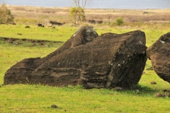 Anciant artisians of Easter Island depended on the quarry at Rano Raraku to supply the volcanic stone of the islands famous Moai that have come to symbolize Easter Island civilization.