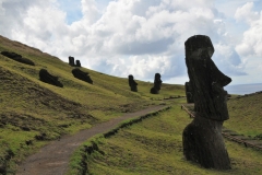 On the outside of the quarry are a number of moai, some of which are partially buried to their shoulders in the spoil from the quarry. They are distinctive in that their eyes were not hollowed out, they do not have pukao and they were not cast down in the island's civil wars. For this last reason, they supplied some of the most famous images of the island.