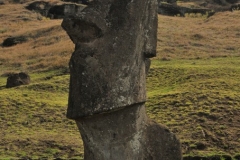 Most moai are made of tuff. Tuff is a soft volcanic rock native to Easter Island. (A few moai were carved from basalt and scoria, other volcanic rocks.) Because tuff erodes easily, few of the moai's original designs remain. Moai that were buried retain some original markings, which are similar to Rapa Nui tattoos of the period.