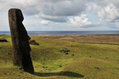 Moai are known for their exaggerated brow ridge and nose. However, most moai also had decorated eyes. Rapa Nui sculptors used white coral in the eye sockets, with black obsidian or red scoria for the pupils.
