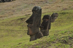 The reason the moai statues are buried into the ground is because of the way the ancient quarry workers handled the incredibly heavy weight of the statues. Once they were detached from the rock in the upper portions of the volcano, the statues were slid down to the hilly, lower areas of Rano Raraku where there is soil. Here, a great pit had been dug. Once a statue reached its pit, gravity tilted it until it was fully erected. Using this clever technique, the quarry workers saved themselves the great labour of raising every statue by hand