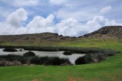 The sides of Rano Raraku crater are high and steep except on the north and northwest, where they are much lower and gently sloping. The interior contains one of the island's three freshwater crater lakes, which is bordered by nga'atu or totora reeds. These plants, once thought as evidence of contact with the South American mainland, are now known to have been growing on the island for at least 30,000 years and were used by the Rapa Nui for thatched shelter and swimming aids.