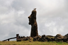 This moai is referred to as the "Traveling Moai". No idea why.