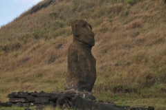 The Ahu Nau Nau is historically known as Ahu Ature Hoa, and according to tradition, Vakai, the wife of Hotu Matu’a, would be buried here.