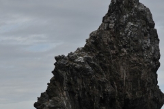 Seeing Motu Kau Kau the Birdman swam around this pointed island or rock.