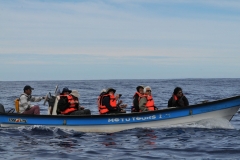 Fellow travelers on the water
