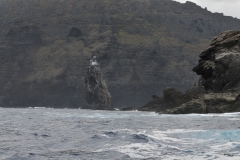 Motu Nui and Motu Kau Kau rock