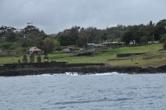 DSC_8141