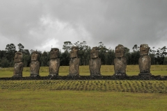 The seven moai statues are located with absolute astronomical precision. Thus, the sacred observatory and sanctuary with all the seven moai look exactly towards the point where the sun sets during the equinox and which also aligns with the Moon. Each one is of 16 feet height and weighs about 18 tons, and its length is  230 ft.