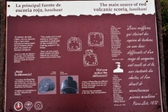 Though the consensus is that Easter Island did indeed suffer an ecological catastrophe, no doubt helped along by human folly, one theory argues that it was rats – yes, rats – that were key culprits in the demise. Archaeologists have found that nuts retrieved from the extinct Easter Island palm show evidence of nibbling by Polynesian rats. By eating the nuts, the sizeable rat population could have prevented reseeding of the bountiful but slow-growing palms across the island, causing them to die out.  But the most likely cause of the downfall of Rapanui society is disease brought about by slavery. According to Easter Island: The Truth Revealed, approximately 1,500 to 2,000 people – half the population – were taken in 1862 in a raid by slave traders from Peru to work there, predominately in agriculture.