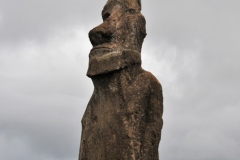 Though the consensus is that Easter Island did indeed suffer an ecological catastrophe, no doubt helped along by human folly, one theory argues that it was rats – yes, rats – that were key culprits in the demise. Archaeologists have found that nuts retrieved from the extinct Easter Island palm show evidence of nibbling by Polynesian rats. By eating the nuts, the sizeable rat population could have prevented reseeding of the bountiful but slow-growing palms across the island, causing them to die out.  But the most likely cause of the downfall of Rapanui society is disease brought about by slavery. According to Easter Island: The Truth Revealed, approximately 1,500 to 2,000 people – half the population – were taken in 1862 in a raid by slave traders from Peru to work there, predominately in agriculture.