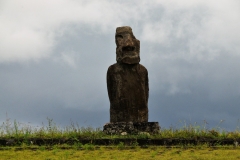 After disease had ripped through the enslaved Rapanui following contact with Europeans, resulting in mass casualties, just 15 survivors were granted permission to return to Easter Island. They brought disease with them and much of the remaining population was decimated. A matter of years later, just 110 Rapanui existed, down from approximately 4,000 before the raid.  But the Rapanui people managed to survive.