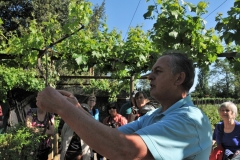 After around 10 years working in large vineyards wine maker Roberto Munoz decided to become independent with his own project - Paseo del Vino. He built his bodega, plant microvificadora, specific winery, and also opened a museum with old wine making machinery and coffee.