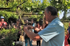 But his concern is to educate, he regularly opens his vineyard for school children and also the general public.  He shows the vineyards and at the same time explains the different processes of production, pruning and grafting  of grapes.  Then passes through the vinification cellar with its small ponds of 200 liters.