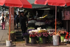 As you enter and exit the cemetery there are flower stalls on each side of the entrance and down the street.