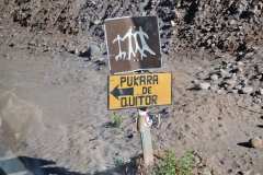 Interesting road sign on the top portion of the signs.