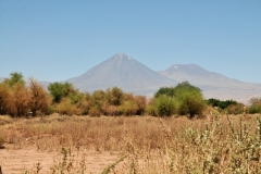 View of the volcano from the front yard of the restaurant.