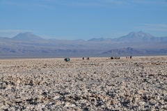 Valle de la Luna proves aptly named—very much a "Moon Valley" in its extraterrestrial appearance, all cracked earth and unfriendly terrain, pillars of salt torturing the thirsty soil. Valle de la Muerte is also appropriately christened—"Death Valley"