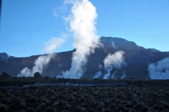 El Tatio lies at the western foot of a series of strato volcanoes which run along the border between Chile and Bolivia. This series of volcanoes is part of the Central Volcanic Zone, one of several volcanic belts in the Andes, and there are no recorded historical eruptions at the Tatio volcanoes.