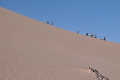 We ran across a group of locals Sand Surfing the hill.