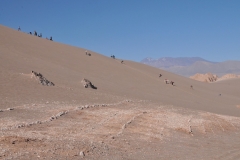 They were making their way to the top to surf down the dirt hillside.